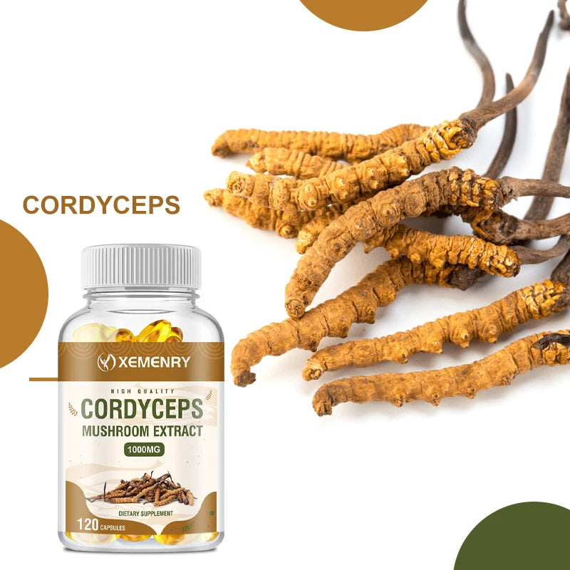 Cordyceps Supplement 1000mg