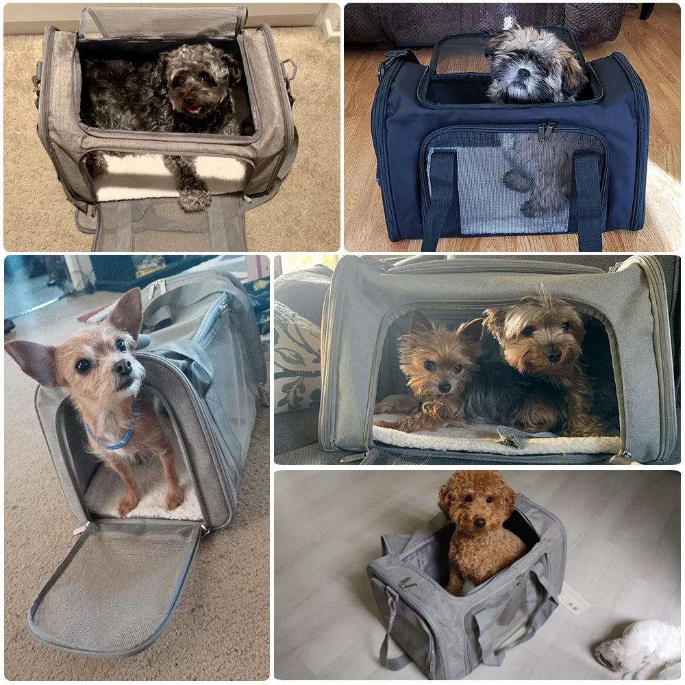 Soft Airline Approved Dog Carrier Bag