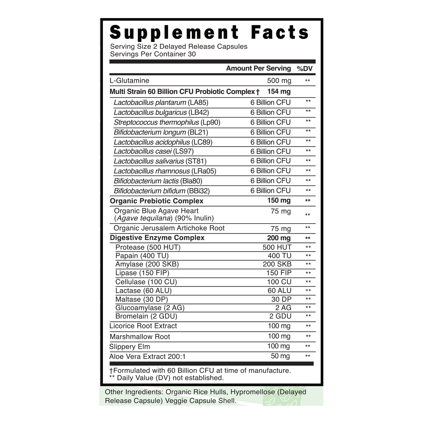 Probiotic Gut Support
