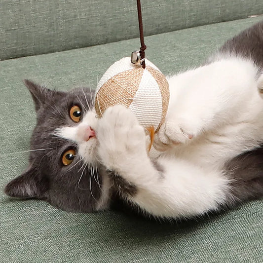 Pet Teaser Feather Toys