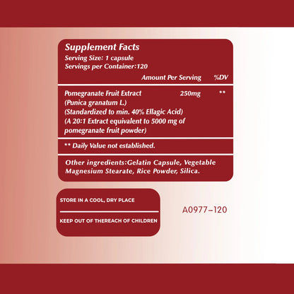 Pomegranate Extract - Antioxidant Supplement