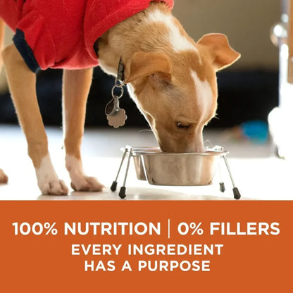 Dry Formula Healthy Weight Dog Food