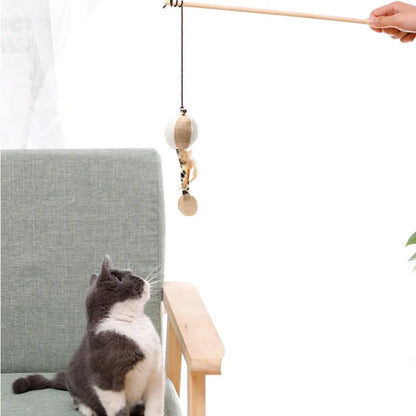 Pet Teaser Feather Toys